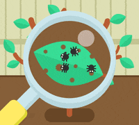 Interactions biologiques IB-2025